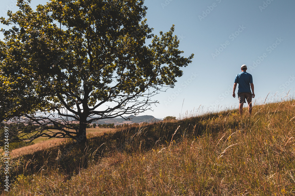 Young man standing on meadow with big tree and looking to Czech central mountain landscape Young man standing on meadow with big tree and looking to Czech central mountain landscape