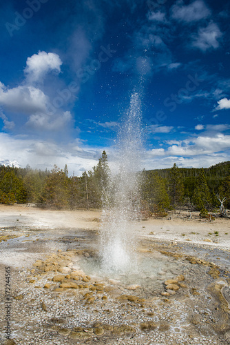 Vixen Geyser in the Yellowstone national park