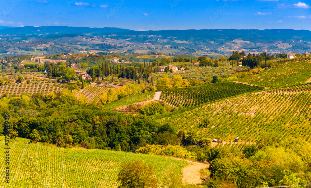 Magnificent panoramic view across the beautiful valleys in San Gimignano, a typical agricultural countryside with vineyards and olive tree orchards in Tuscany, Italy on a sunny day with a blue sky.