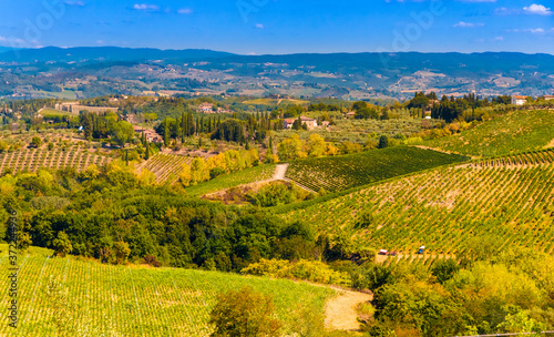 Magnificent panoramic view across the beautiful valleys in San Gimignano  a typical agricultural countryside with vineyards and olive tree orchards in Tuscany  Italy on a sunny day with a blue sky.