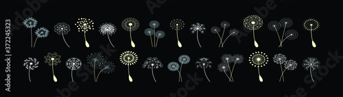 a set of dandelion icon design template with various models. vector illustration