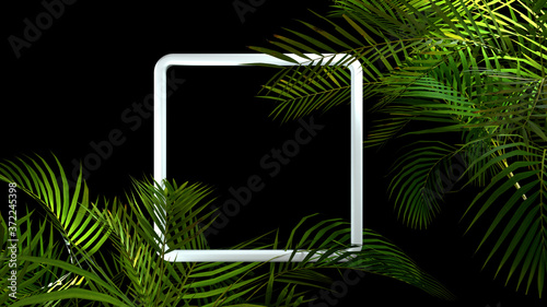 Tropical palm plant leaf on black background. Nature summer illustration. 3D render