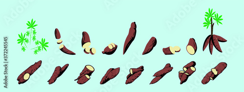 fresh cassava and leaves, raw cassava slices for the tapioca starch industry or the ethanol industry, yucca yucca tubers, raw cassava