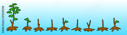 a set of cassava tree plant icon design template with various models. vector illustration