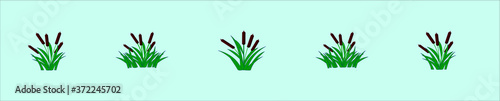 a set of cattails plants  icon design template with various models. vector illustration