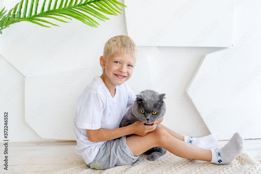 Obraz premium a little boy is sitting in a bright room with a cat, the concept of friendship between a child and an animal