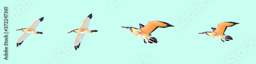 a set of albatross bird is flying icon design template with various models. vector illustration