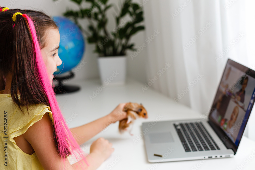 Cheerful young little girl with a pet hamster using laptop computer studying through online e-learning system at home. Distance or remote learning Cheerful young little girl with a pet hamster using laptop computer studying through online e-learning system at home. Distance or remote learning
