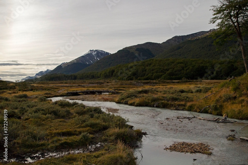The river flowing across the golden meadow in autumn. The yellow grassland, forest and mountains at sunrise. 