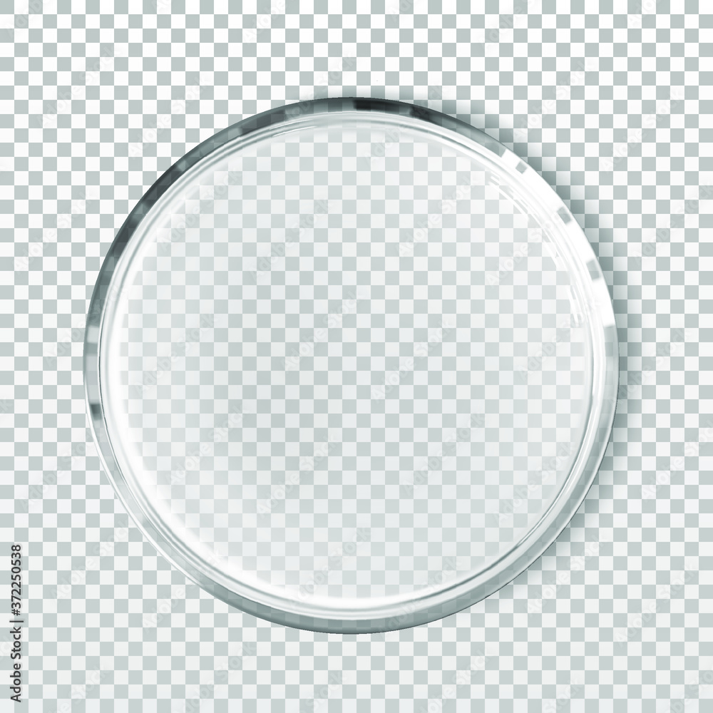 Empty petri dish isolated realistic vector illustration. Concept laboratory tests and research. Transparent chemistry glassware - obrazy, fototapety, plakaty 
