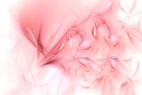 red and pink background with romantic feathers