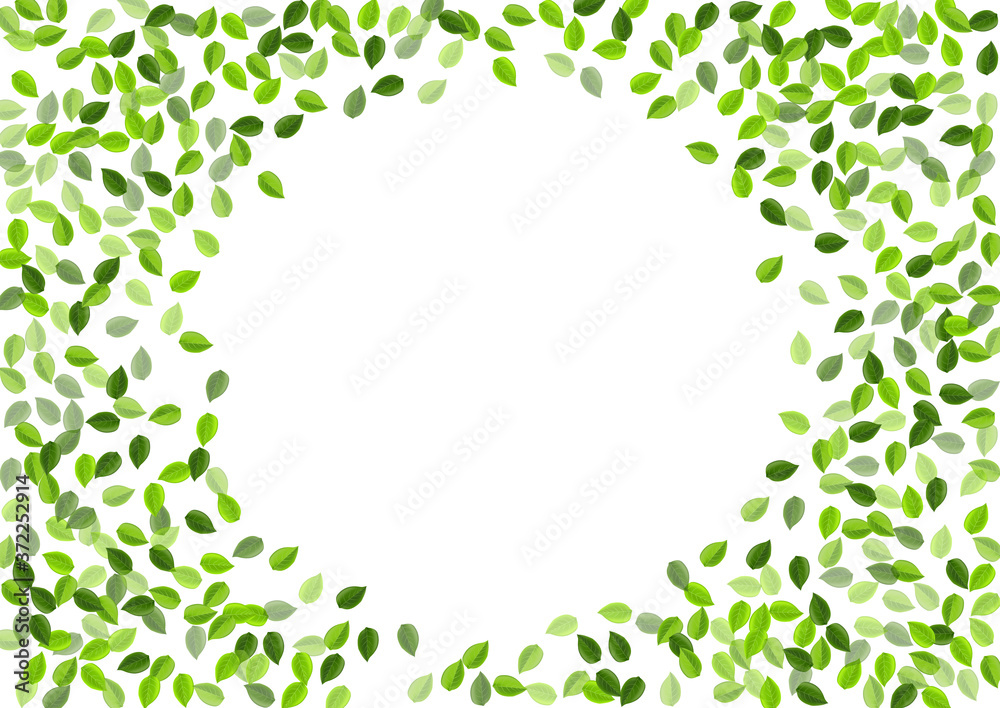 Forest Leaf Abstract Vector Illustration. Forest Leaf Abstract Vector Illustration.