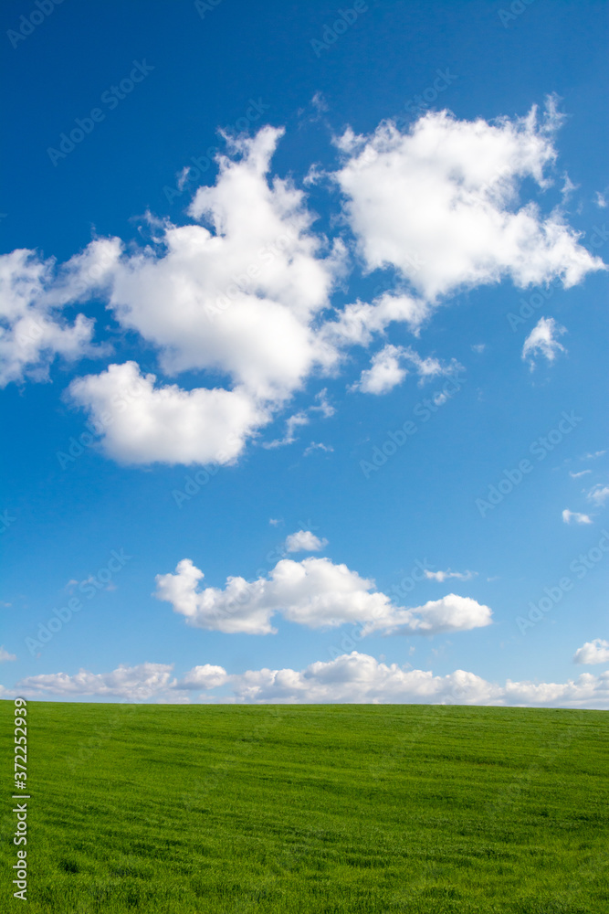 緑の草原と青空に浮かぶ雲