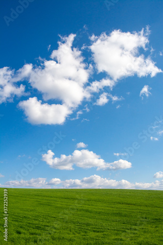 緑の草原と青空に浮かぶ雲