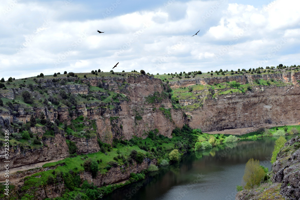 landscape of a canyon with a river