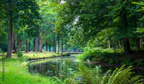Fototapeta Naklejka Na Ścianę i Meble -  Beautiful green path in the forest spring nature in Europe, the bridge over the river landscape