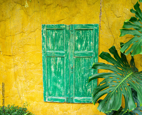 Green window and yellow wall.