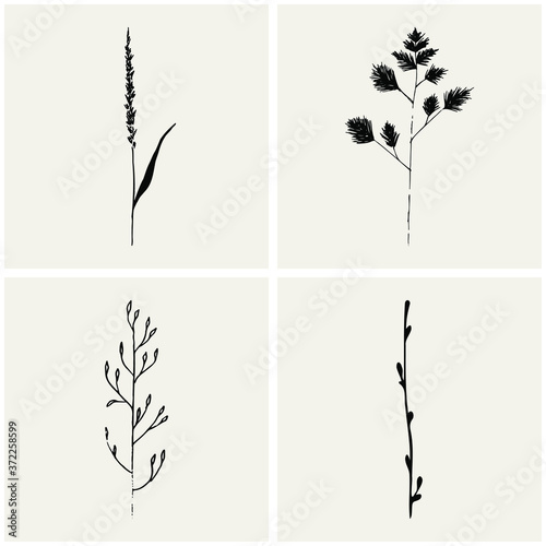 Herbs collection. Floral sketch. Vector hand drawn collection of cosmetics herbs and plants. Simple and elegant hand drawn illustration.