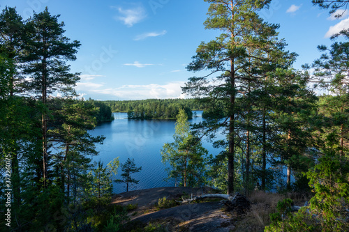 Summer lake scene at hiking trail in Teijo national park, Salo, Finland. Trees and the Matildajarvi lake. photo