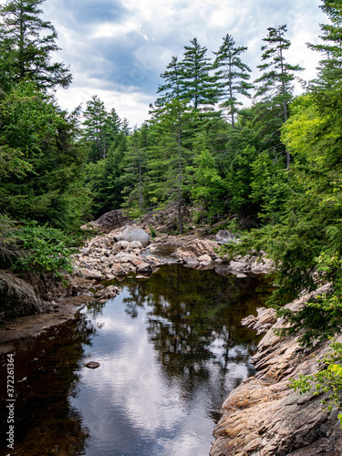 river in the forest