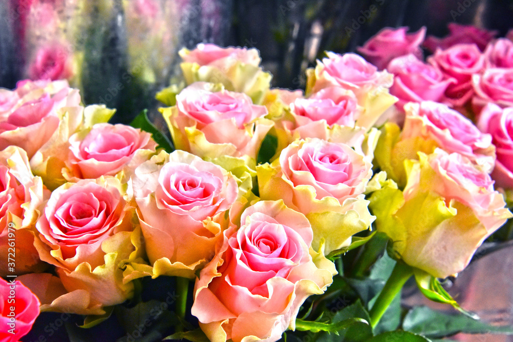 Roses in flower shop. Roses in flower shop.