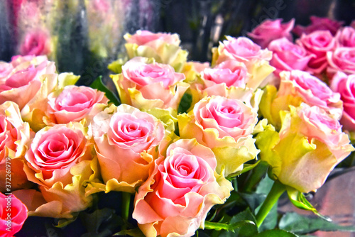 Roses in flower shop.