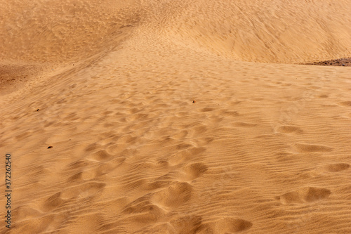 Footprints in the sandy desert. Texture background travel concept
