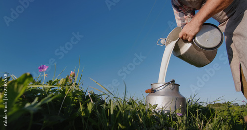 Stampa su Tela Man pours milk into the can against the background of a green meadow
