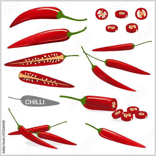 Set of red chili pepper illustration in various styles, vector format