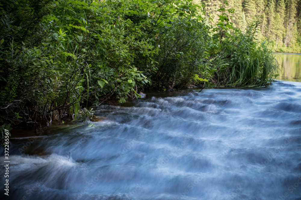 Naklejka premium Mystic river in summer