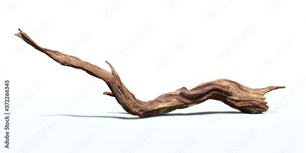 driftwood isolated on white background, twisted branch - obrazy, fototapety, plakaty 