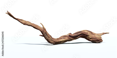 Fotobehang driftwood isolated on white background, twisted branch
