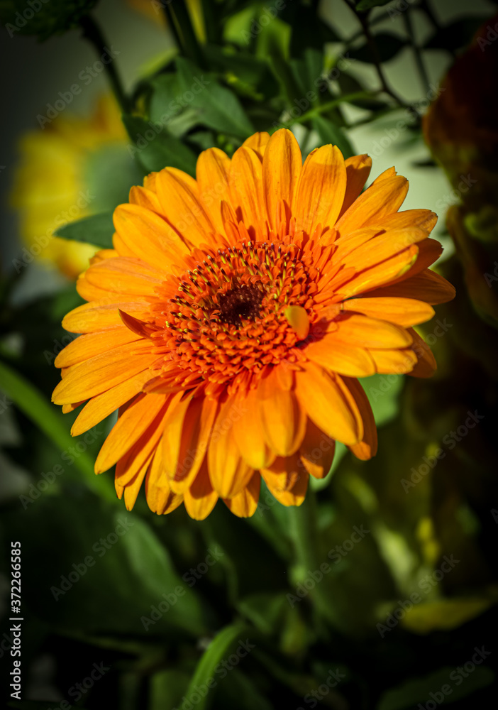 Nahaufnahme einer orangefarbenen Kunstblume