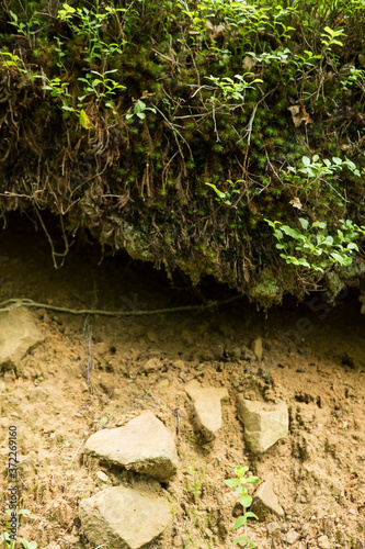 detail of soil in mountains photo