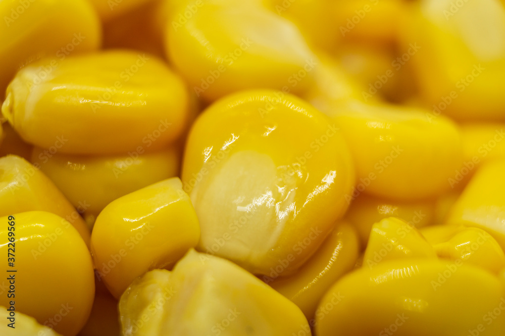 Yellow grains of corn close up. Macro photography Yellow grains of corn close up. Macro photography
