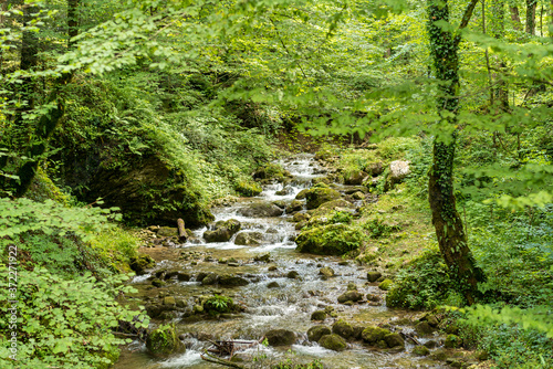 Mountain stream in the Woodland of the Enns valley near Grossraming. The area offers hiking and recreation in the incomparable nature of the largest forest area in Austria photo