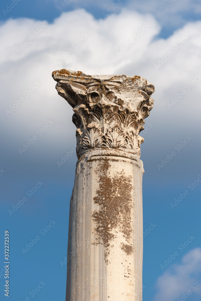 The capital of an antique Corinthian column, destroyed and overgrown with moss against the sky