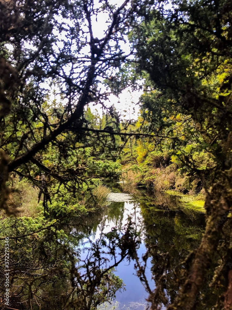 Natureza Natureza
