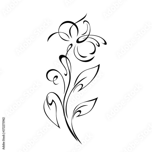 ornament 1266. decorative twig with one stylized flower, leaves and curls in black lines on a white background