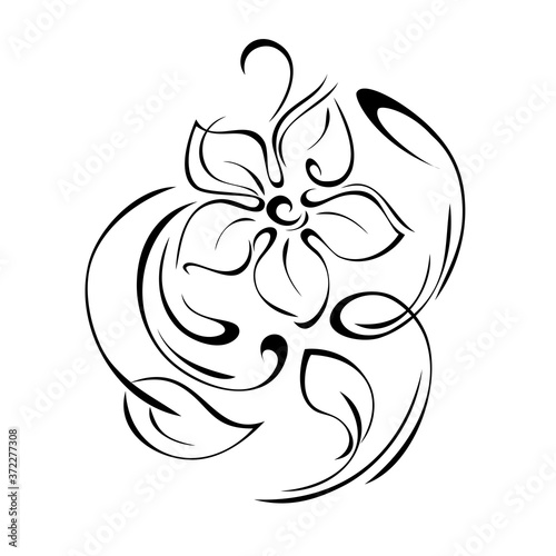 ornament 1268. decorative element with a stylized flower, leaves and curls in black lines on a white background