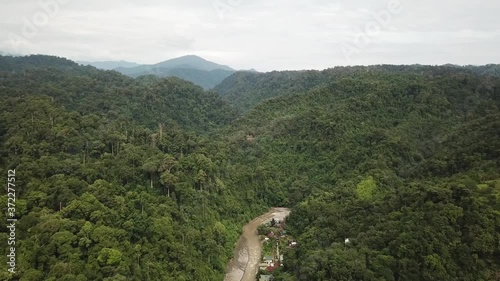 Jungle sumatra photo