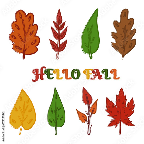 Set of autumn fall vector elements. Oak, maple, birch leaves. Orange, green, red foliage. Hello fall lettering. Grunge style. Vector clip art isolated on white background.