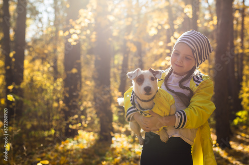 Portrait of a little girl on a background of orange and yellow leaves in an autumnal sunny day. Little puppy jack russell terrier. Pet and child concept. Friendship.
