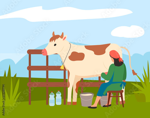 Woman farmer in uniform near cow on nature landscape. Milkmaid is working at countryside, sitting on chair and milking cow in rural area. Back view of woman wearing an apron pouring milk into bucket