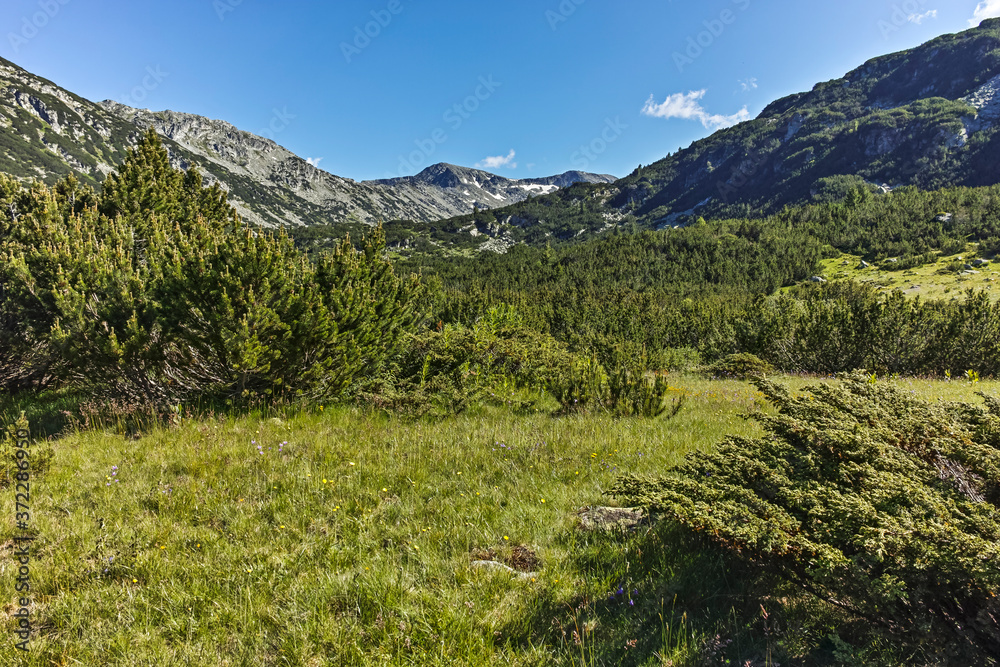 Naklejka premium landscape near The Fish Lakes, Rila mountain, Bulgaria
