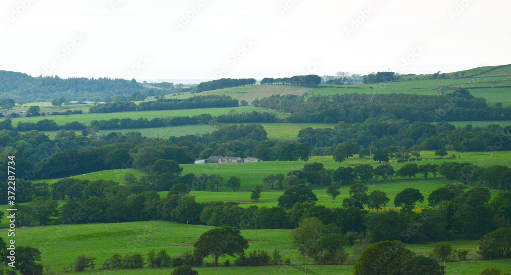 Beacon Fell, Lancashire, England, UK