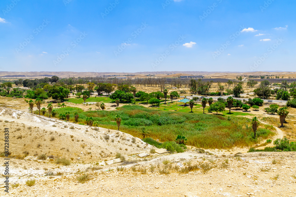 Golda Meir Park in the Negev Desert