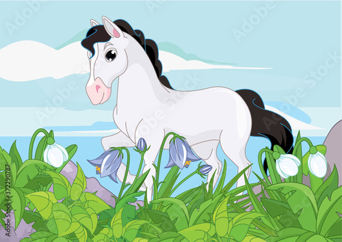 Beautiful young horse with long mane in flower field against sky