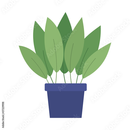 Plant inside pot design of Floral nature garden ornament botany decoration beauty and flora theme Vector illustration