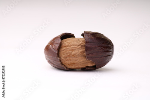 nutmeg spice and its shell isolated on the white background.